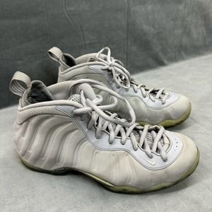 Size 11 - Nike Air Foamposite One Premium Wolf Grey 2015